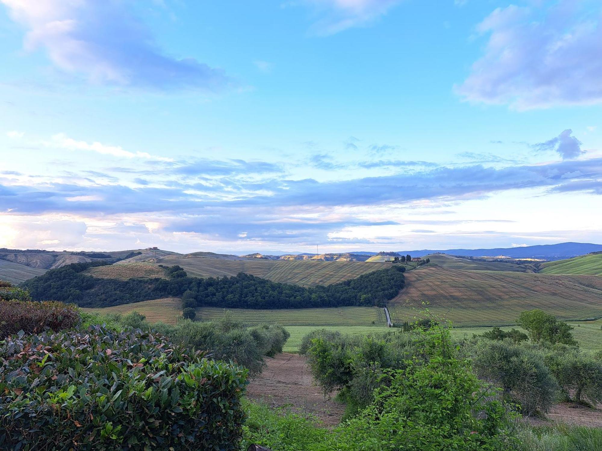 Agriturismo Caliano Asciano Zewnętrze zdjęcie
