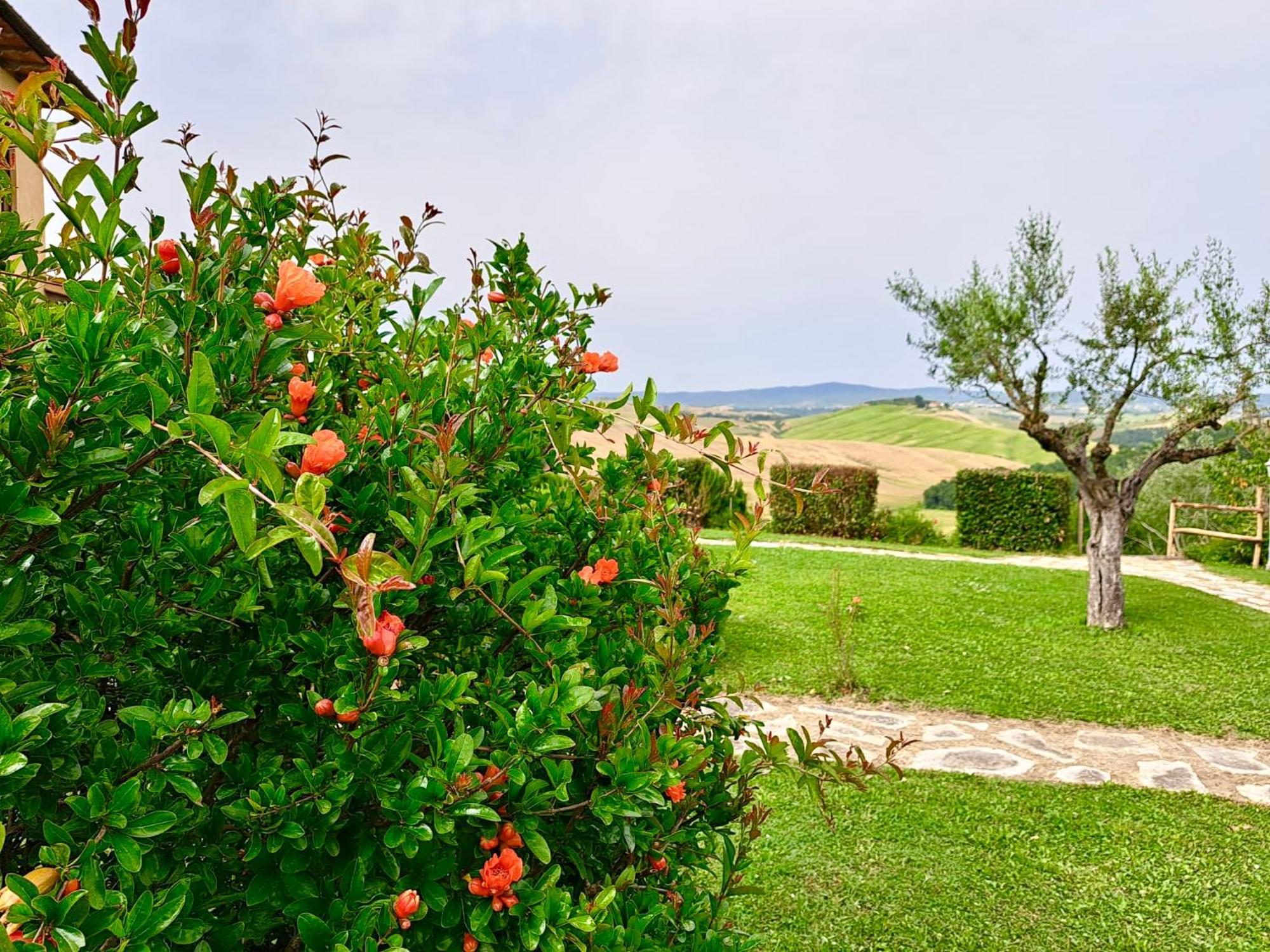 Agriturismo Caliano Asciano Zewnętrze zdjęcie