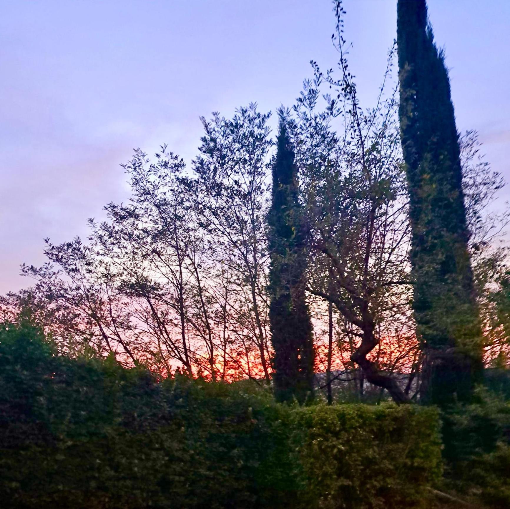 Agriturismo Caliano Asciano Zewnętrze zdjęcie