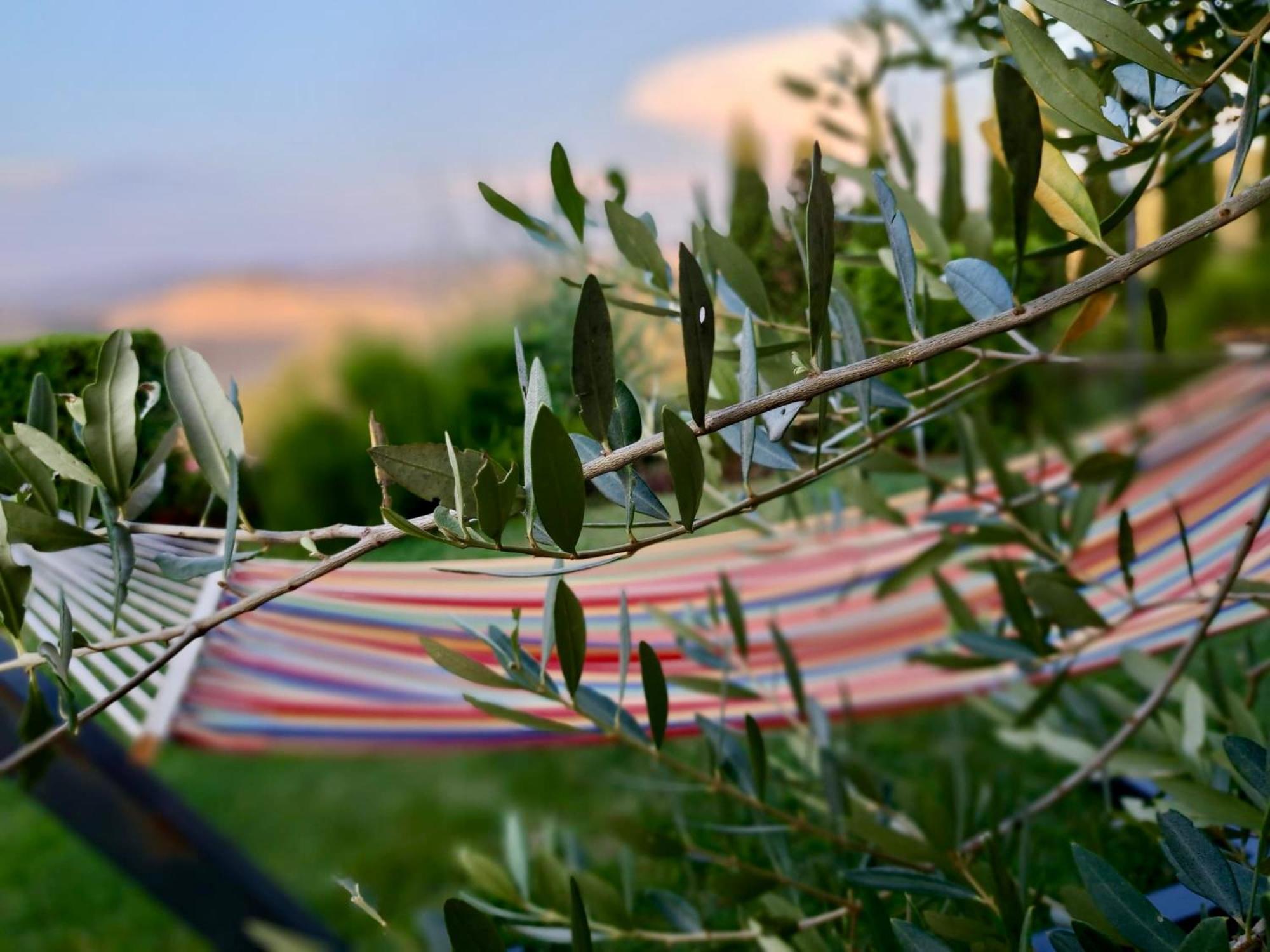 Agriturismo Caliano Asciano Zewnętrze zdjęcie