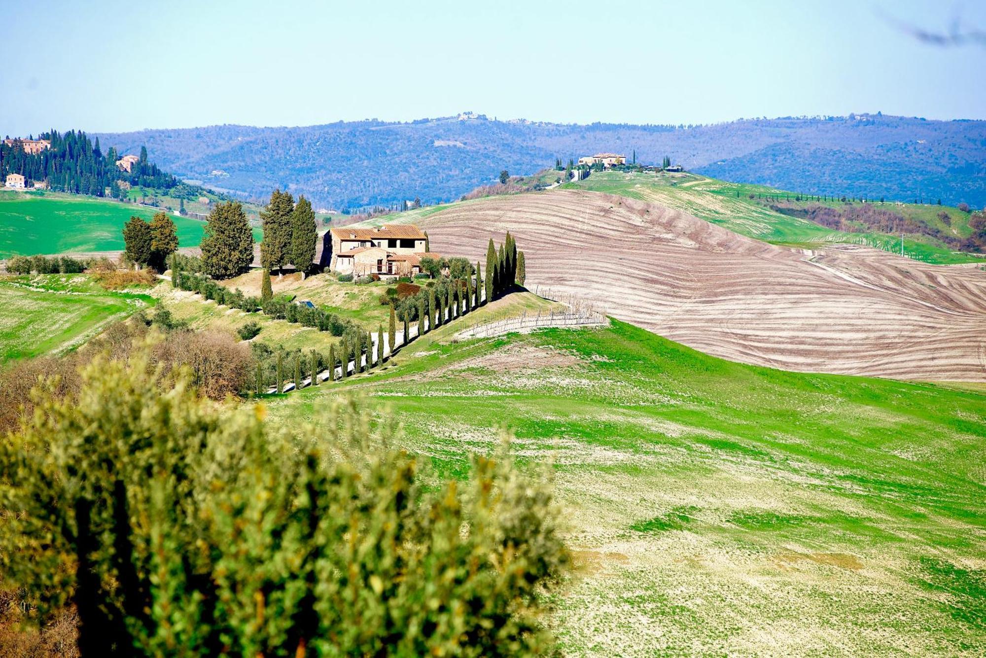 Agriturismo Caliano Asciano Zewnętrze zdjęcie